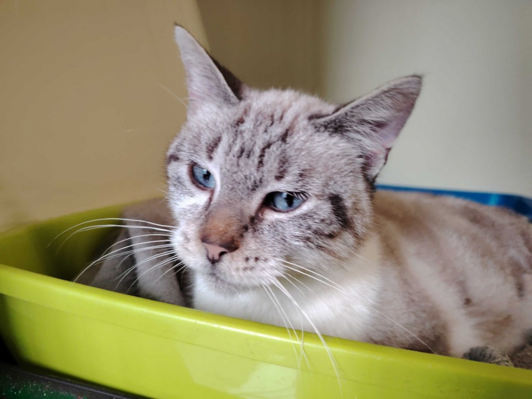 Photo #3 de Princesse