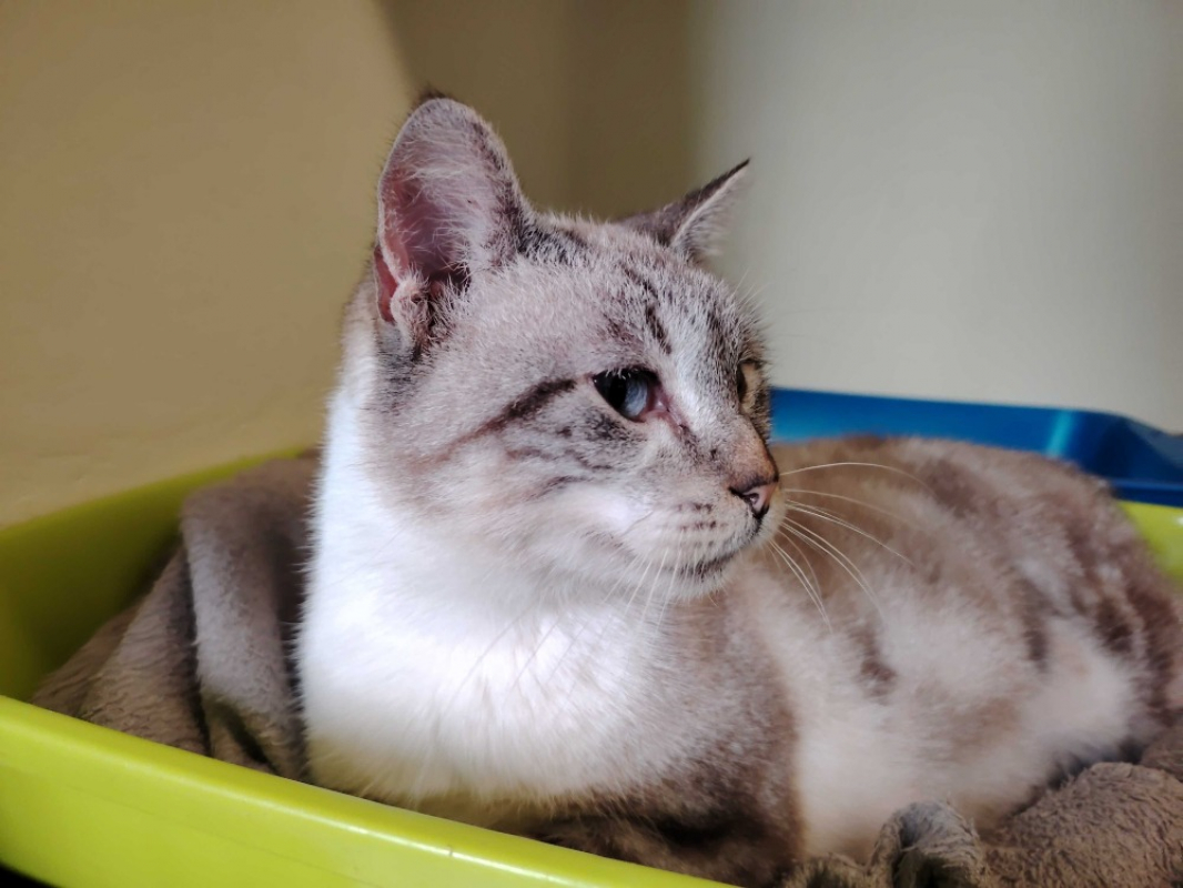 Photo #5 de Princesse