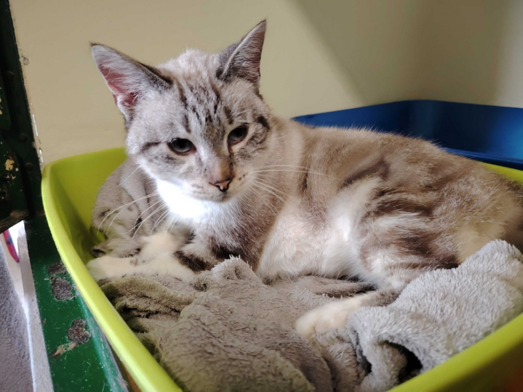 Photo #6 de Princesse