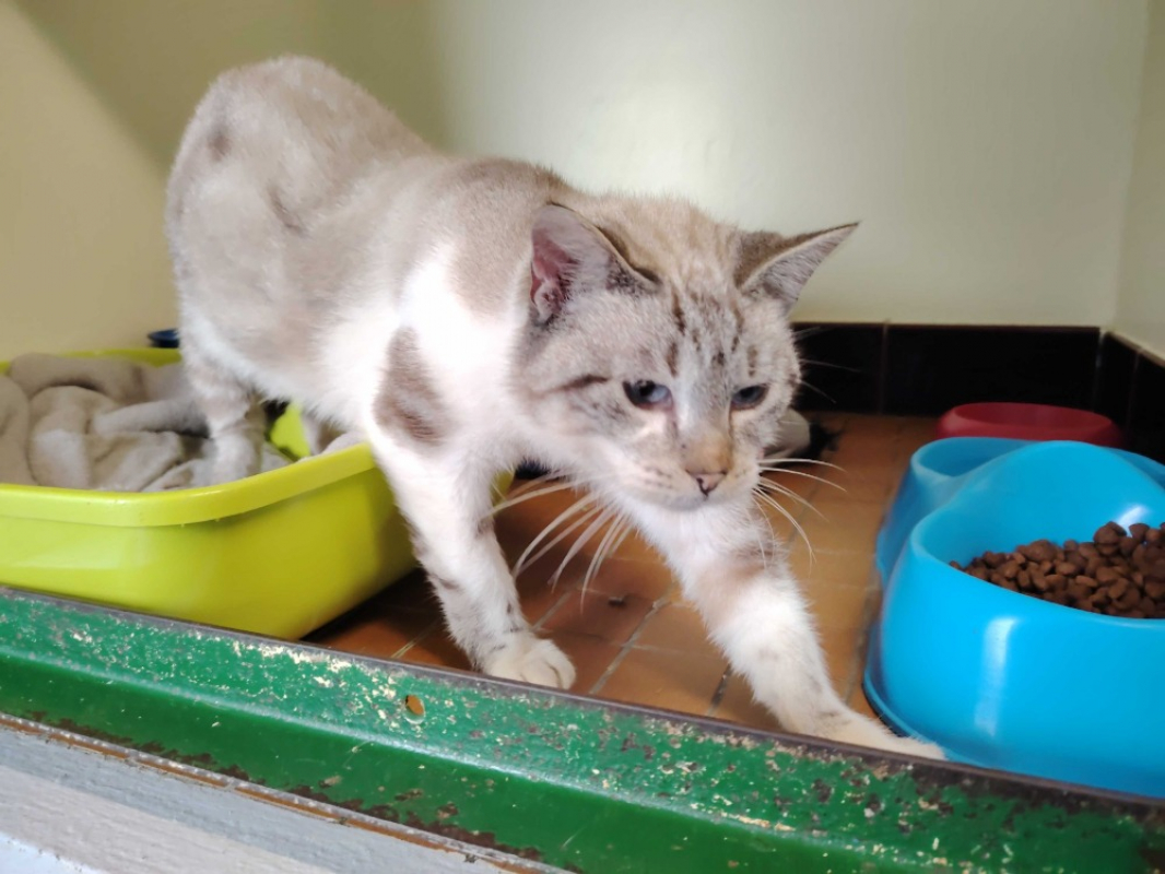 Photo #8 de Princesse