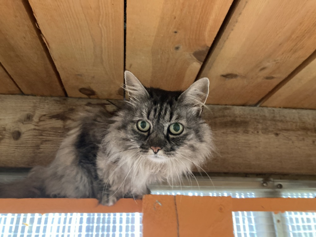 Photo #1 de Laidy réservé