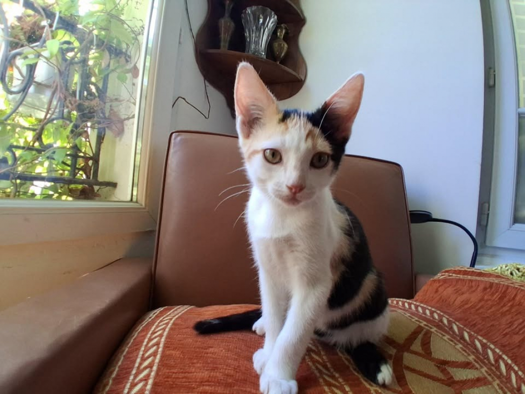 Photo de Granola