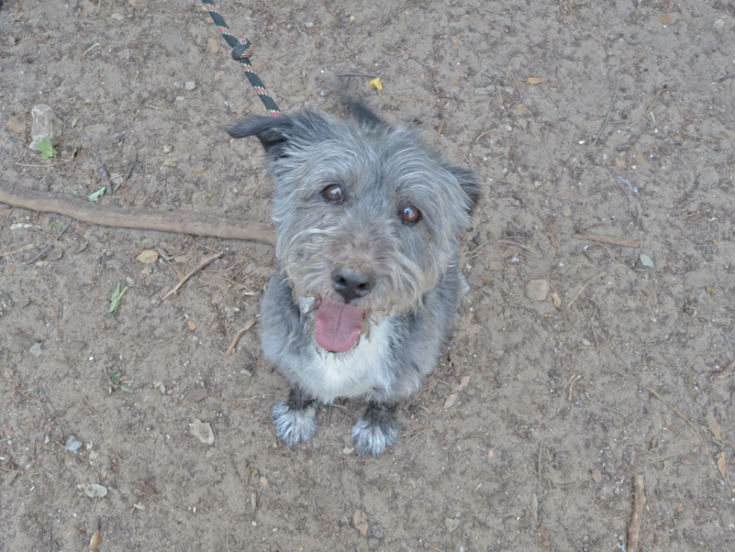 Photo #2 de Boby