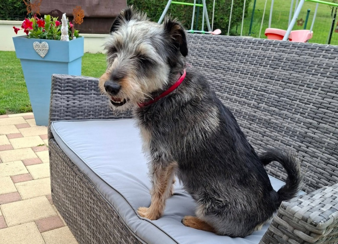 Photo de Teddie