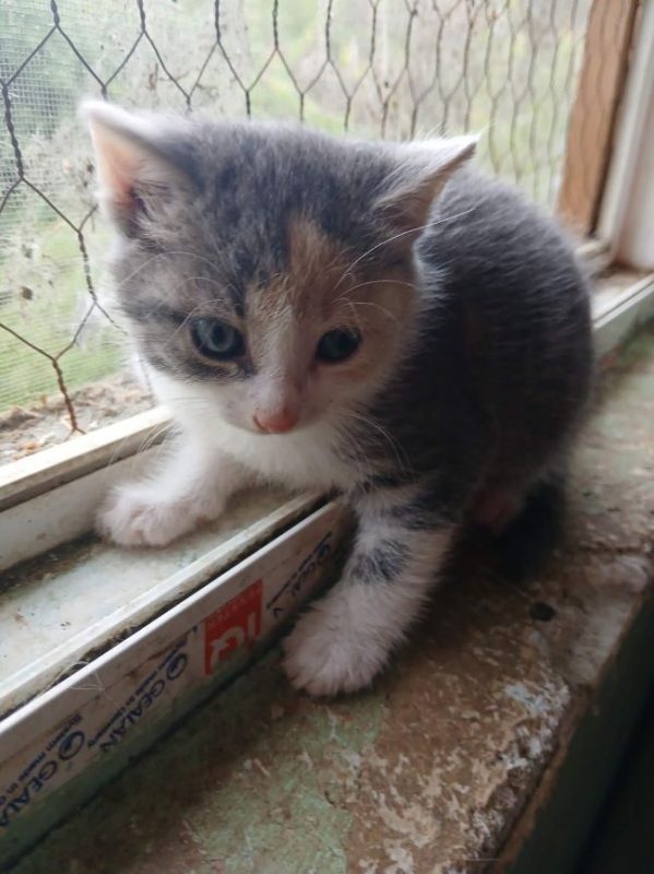 Photo de Lumie