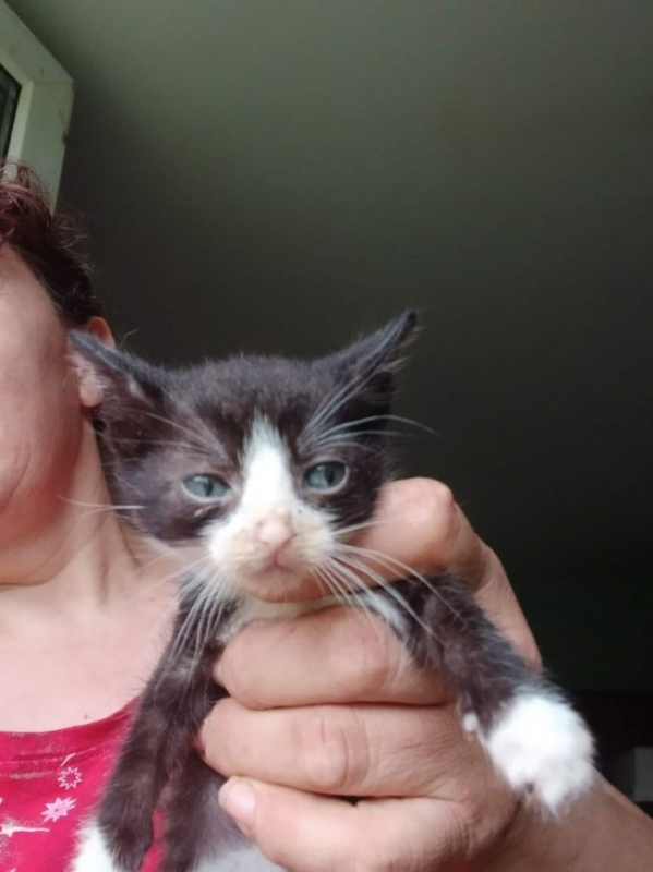 Photo de Figaro