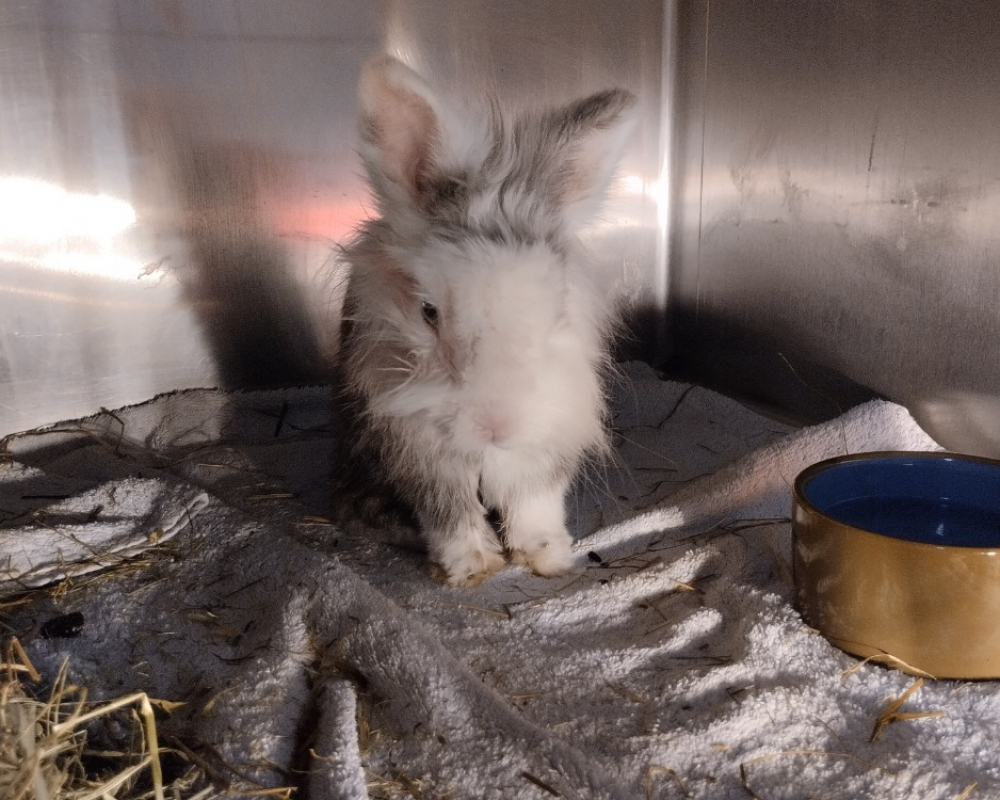 Photo de Pepere
