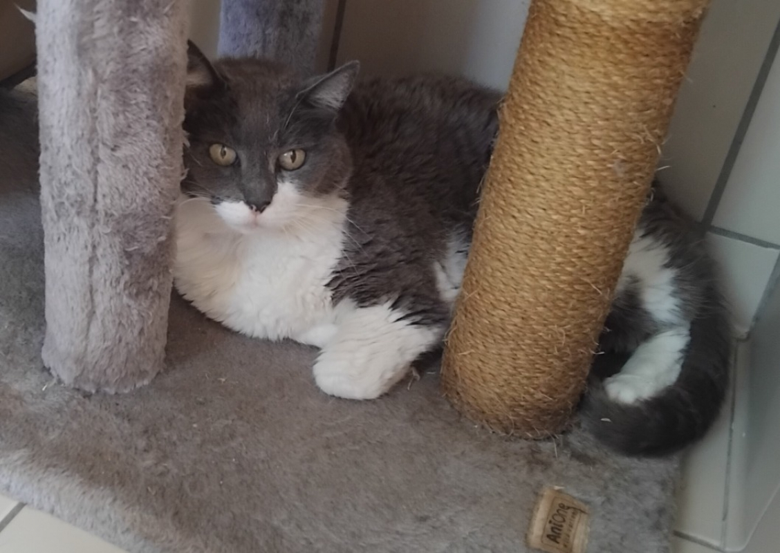Photo de Minette