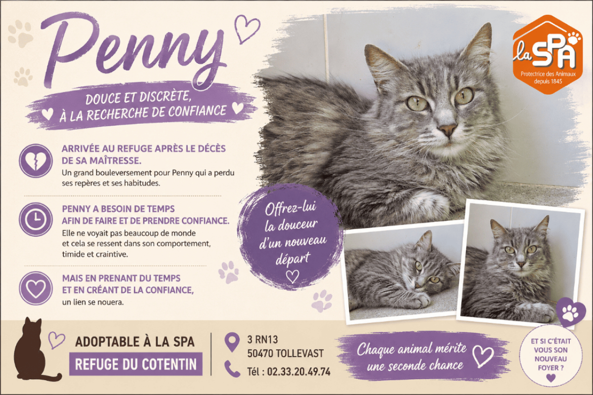 Photo de Penny