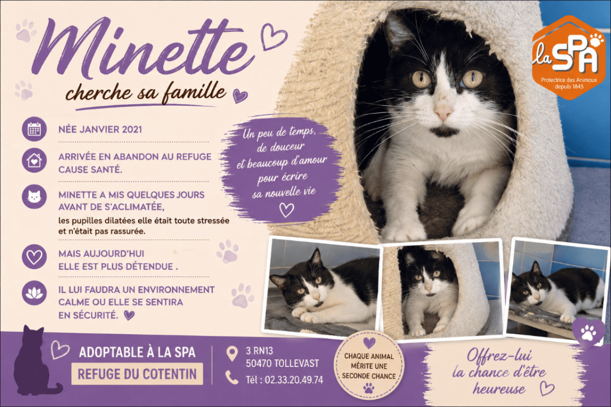 Photo de Minette
