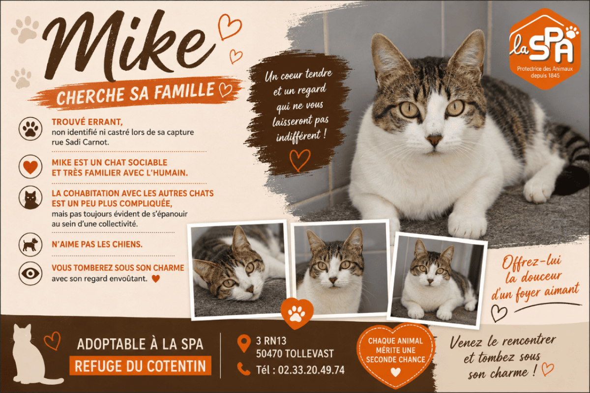Photo de Mike réservé