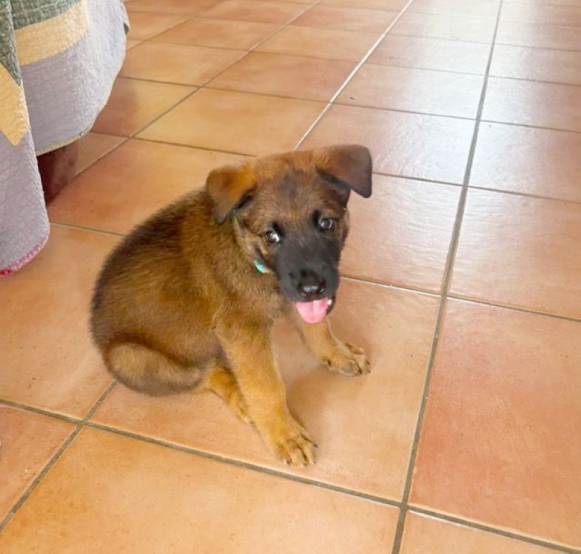 Photo #4 de PAKO