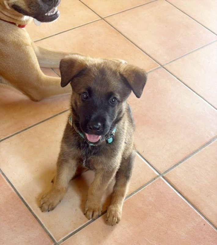 Photo #7 de PAKO
