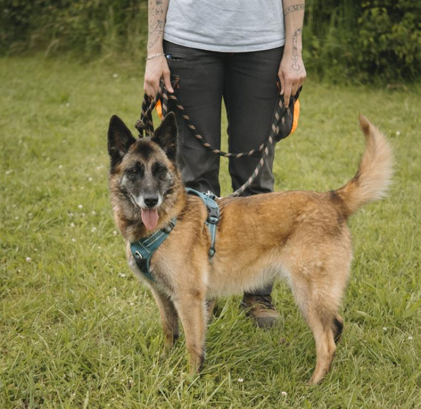 Photo #2 de Lyse vaa