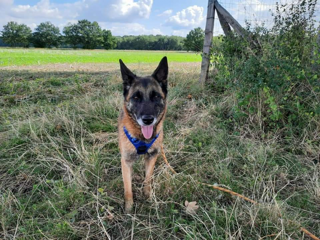 Photo #6 de Lyse vaa