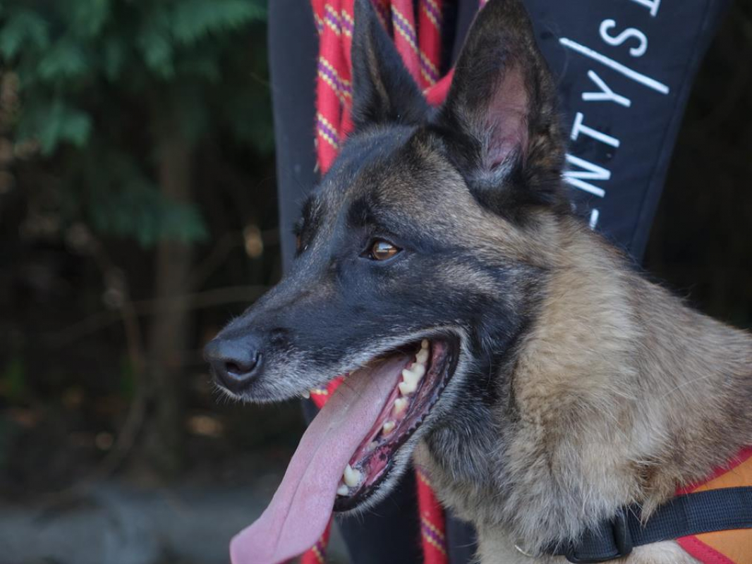 Photo #7 de Lyse vaa