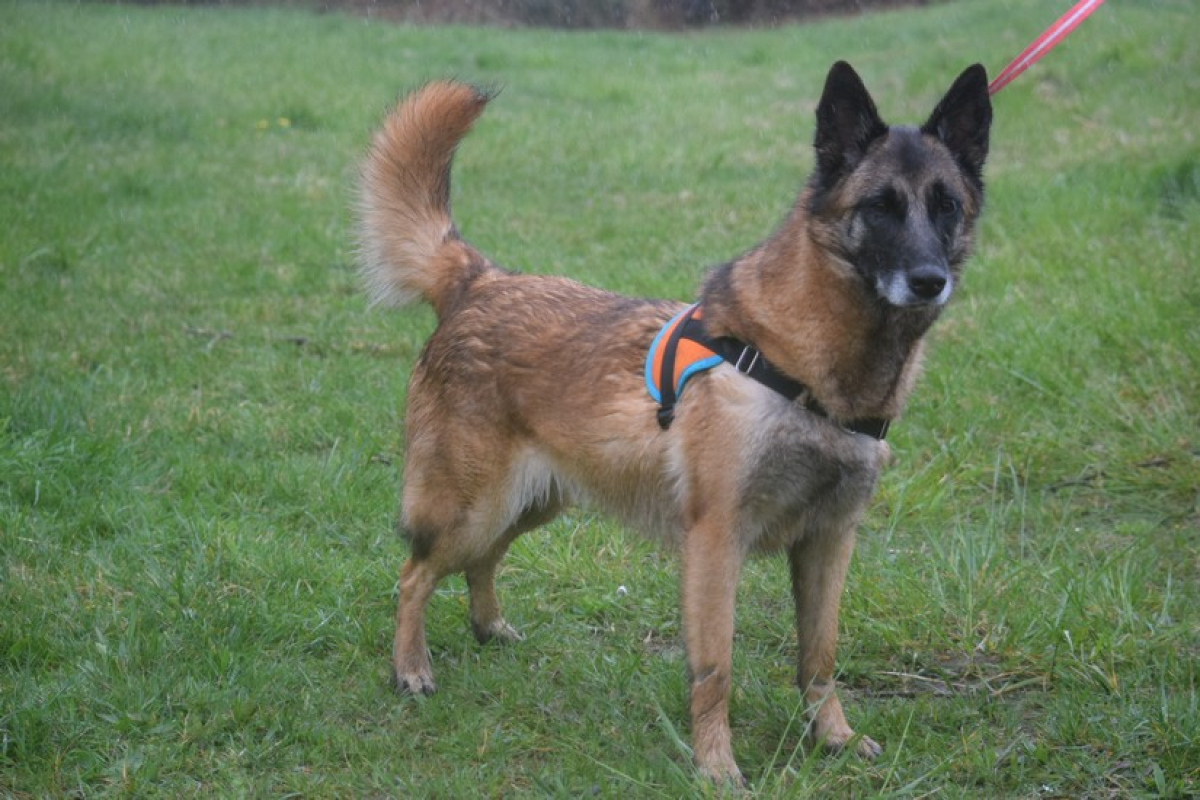 Photo #7 de Lyse