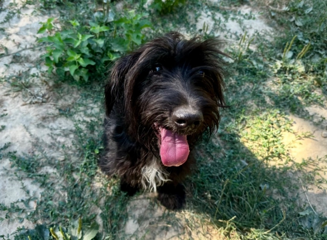 Photo #1 de Swiffer