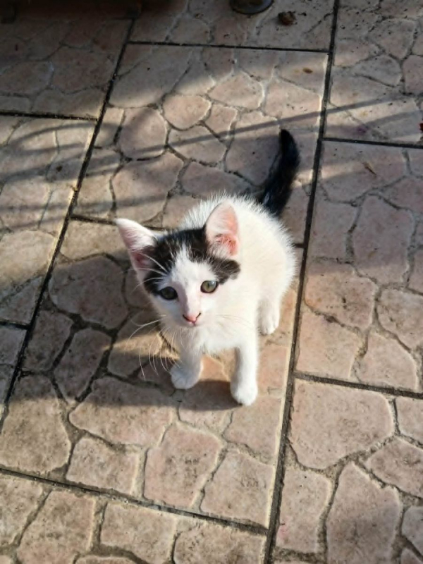 Photo de CINNA