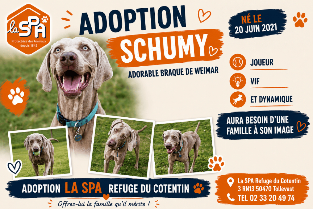 Photo #1 de Schumy
