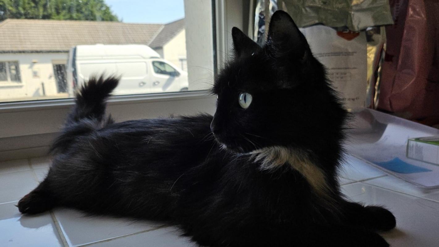 Photo de Zephyr