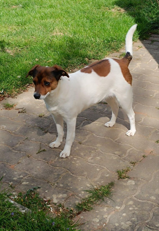 Photo #2 de MAYA