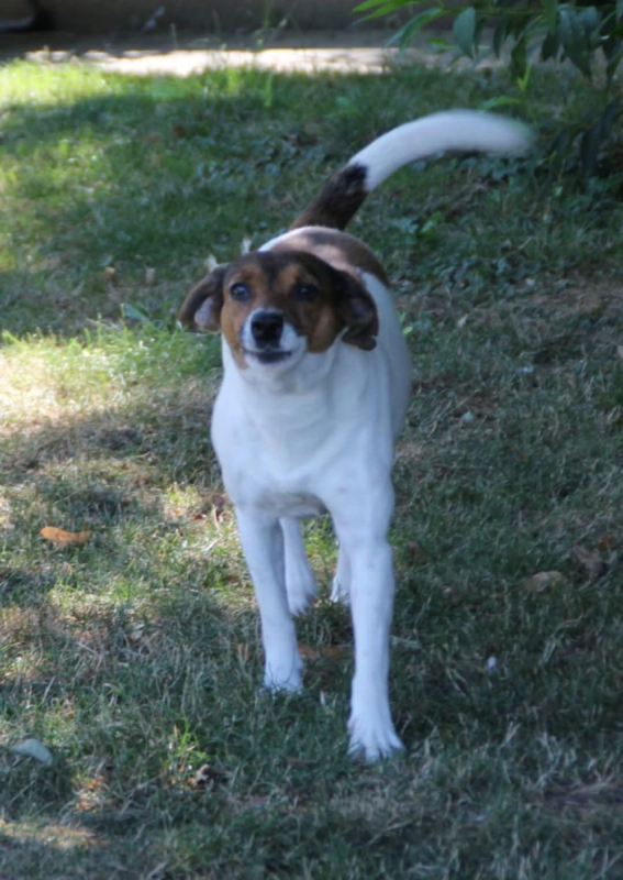 Photo #6 de MAYA