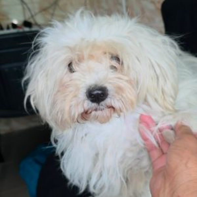 Photo #2 de LILOU