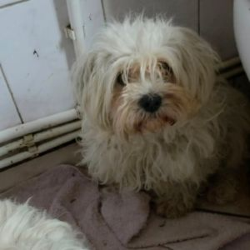 Photo #1 de LILOU