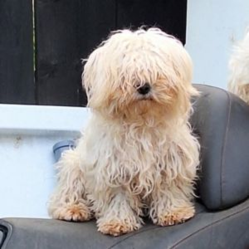 Photo #3 de LILOU