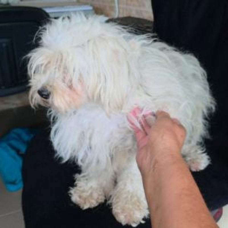 Photo #5 de LILOU