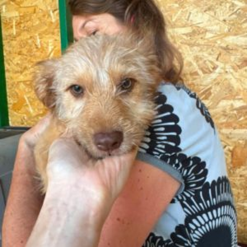 Photo #6 de SIMBA