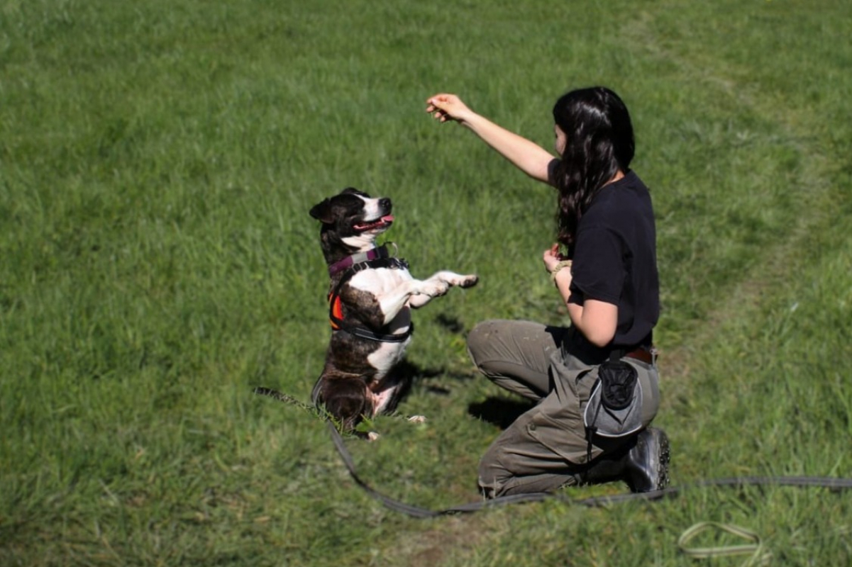 Photo #6 de Rhoda