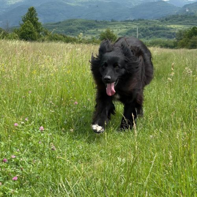 Photo #5 de LUNNA