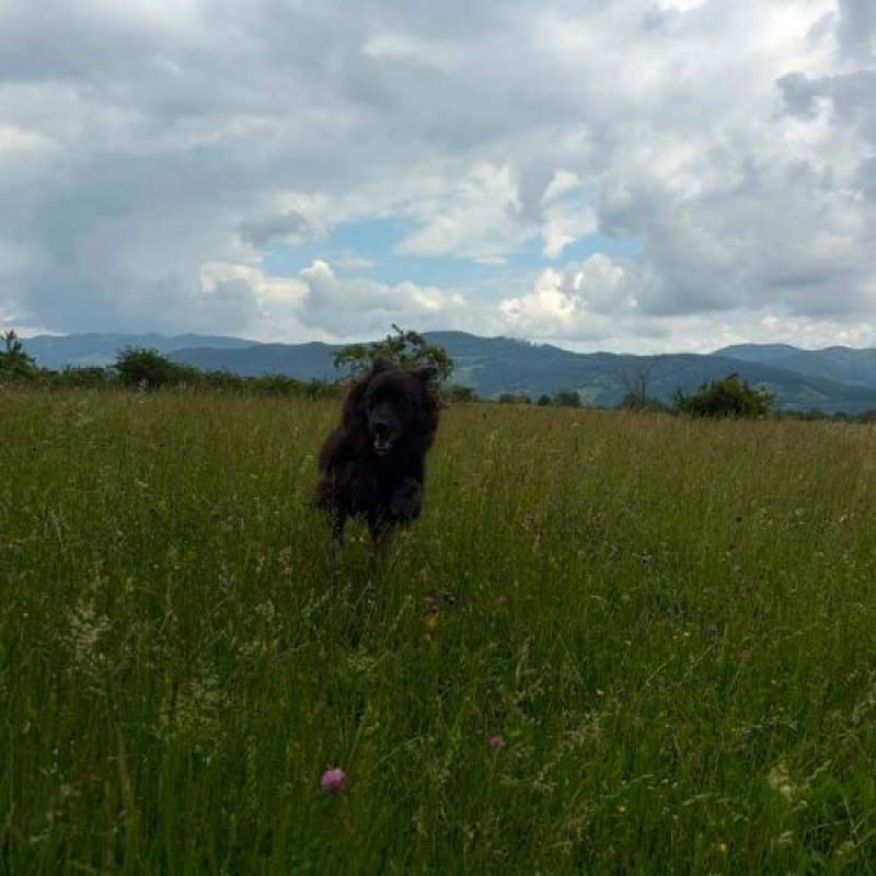 Photo #1 de LUNNA
