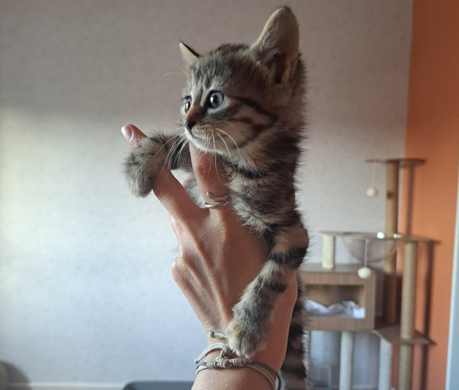 Photo de Boop