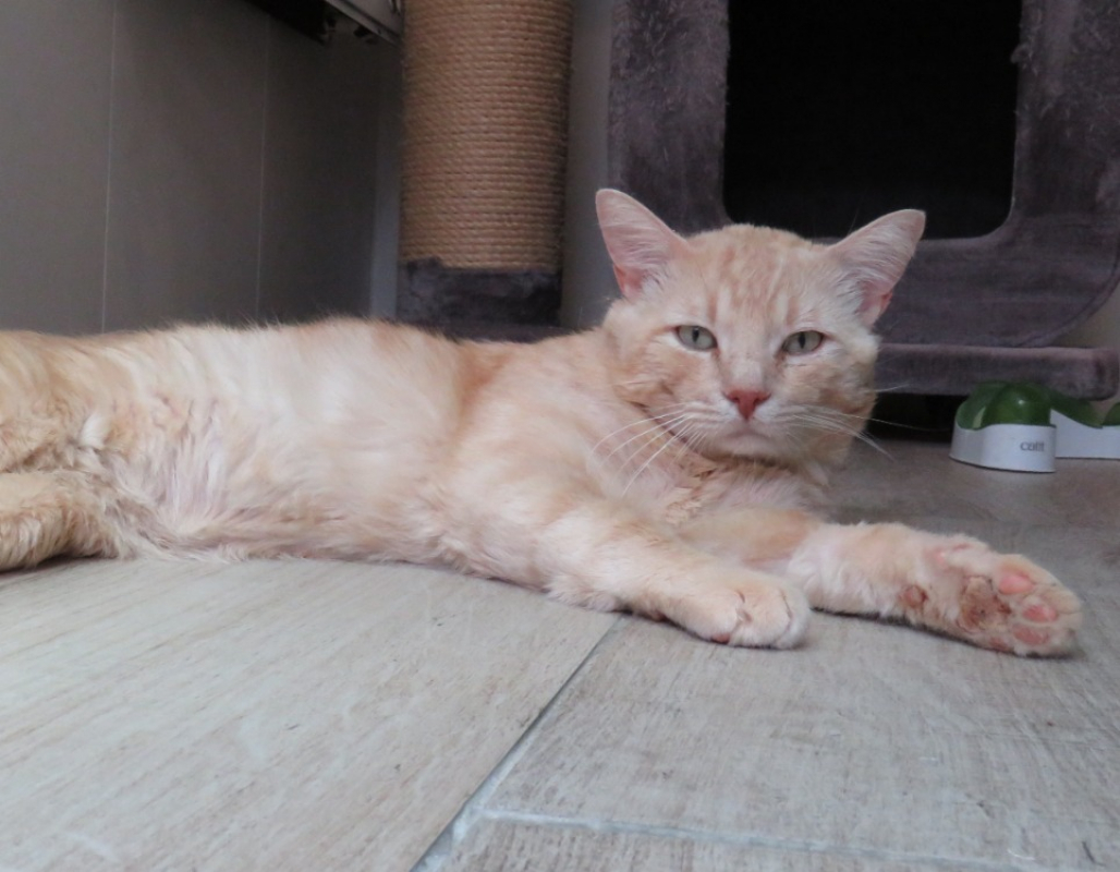 Photo #5 de Caramel