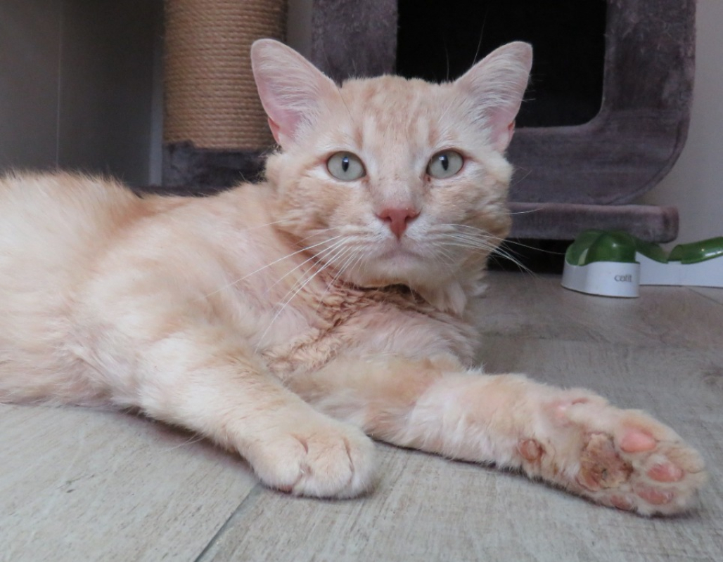 Photo #6 de Caramel