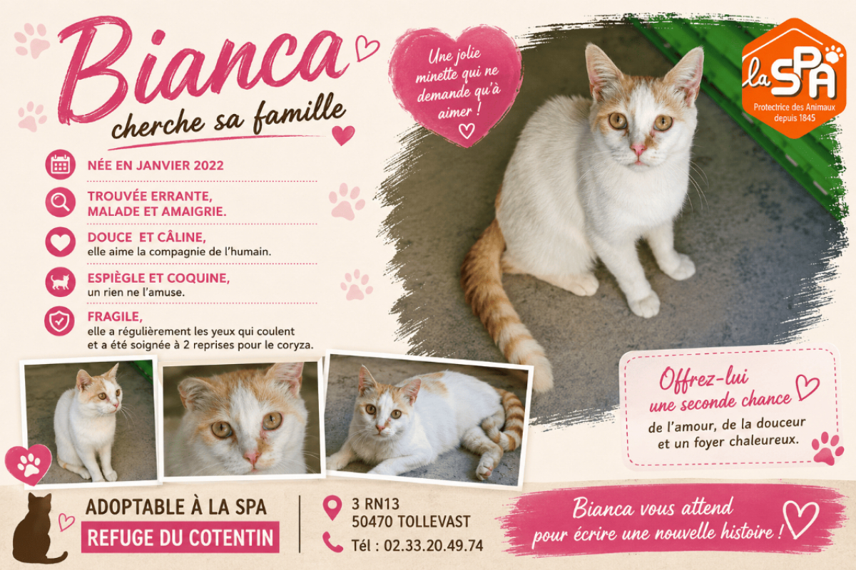 Photo de Bianca réservé
