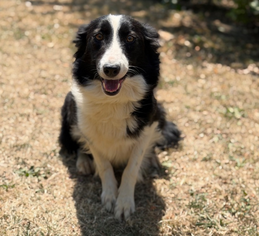 Photo de Vaya