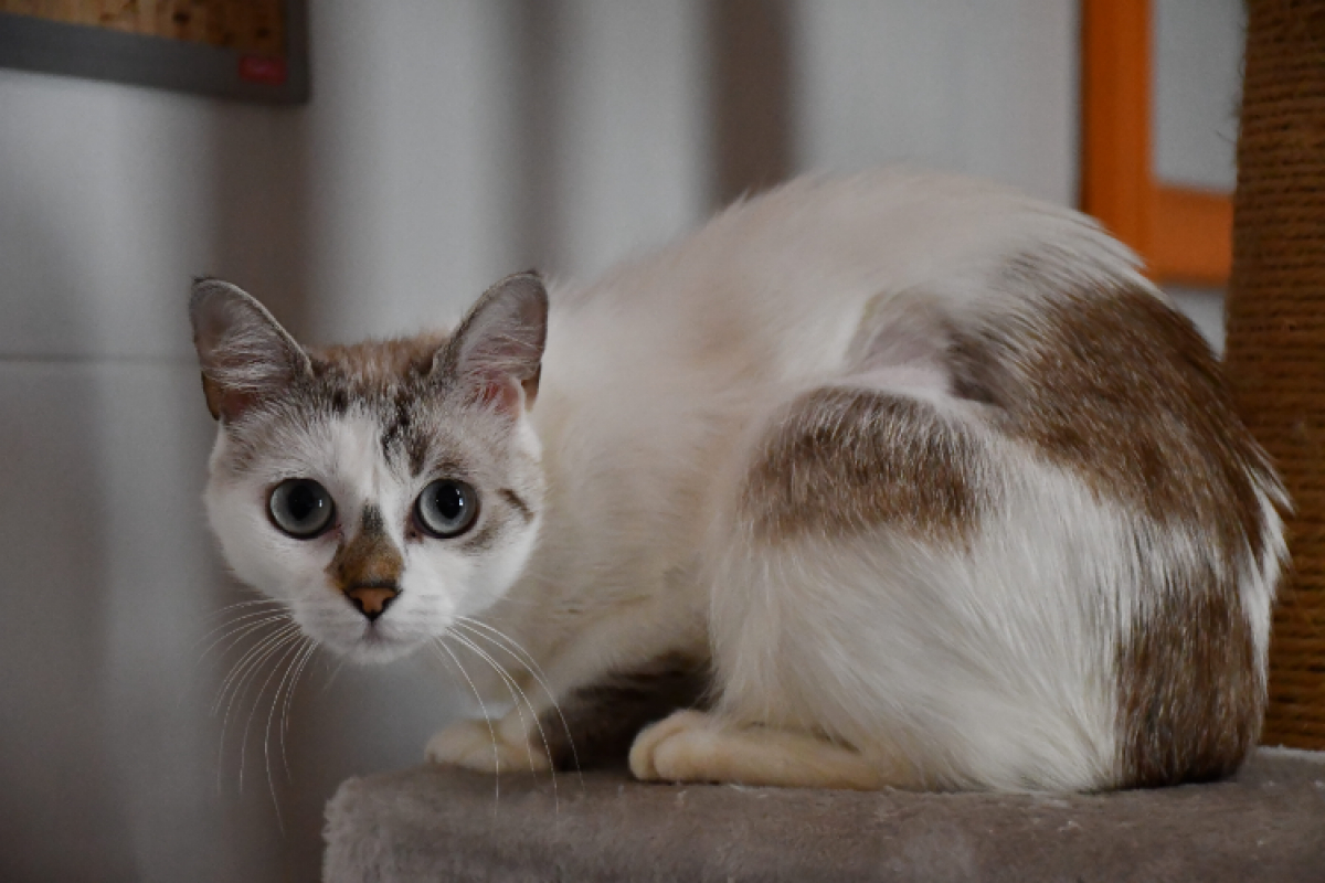 Photo #2 de Molly