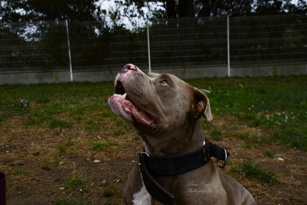 Photo #8 de Fysio
