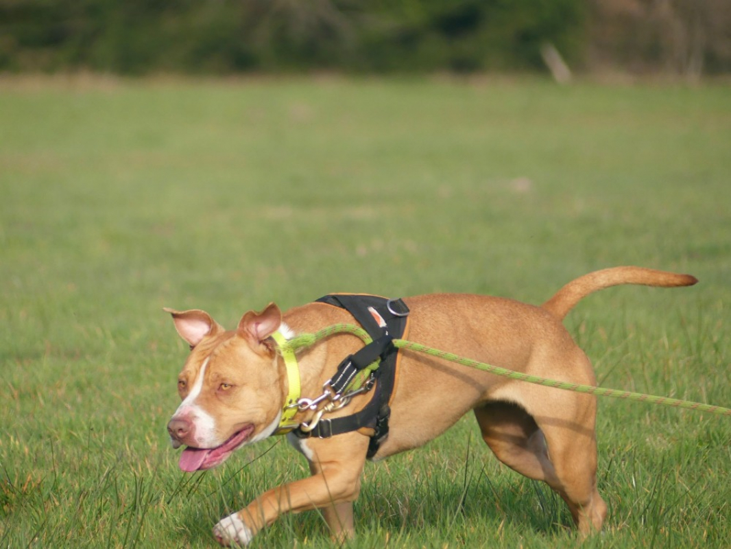 Photo #9 de Nala