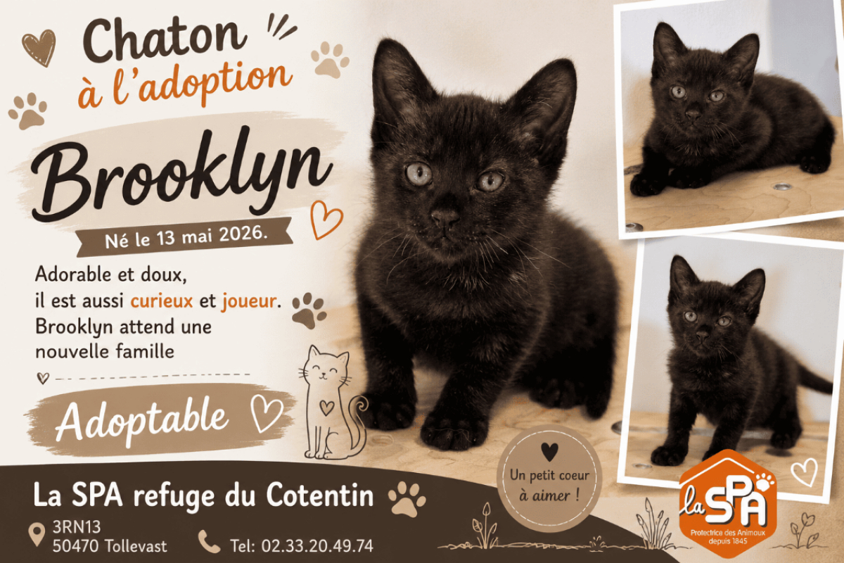 Photo de Brooklyn