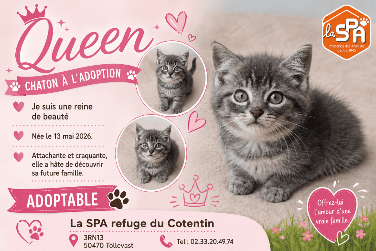 Photo de Queen