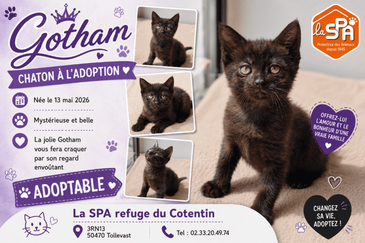 Photo de Gotham
