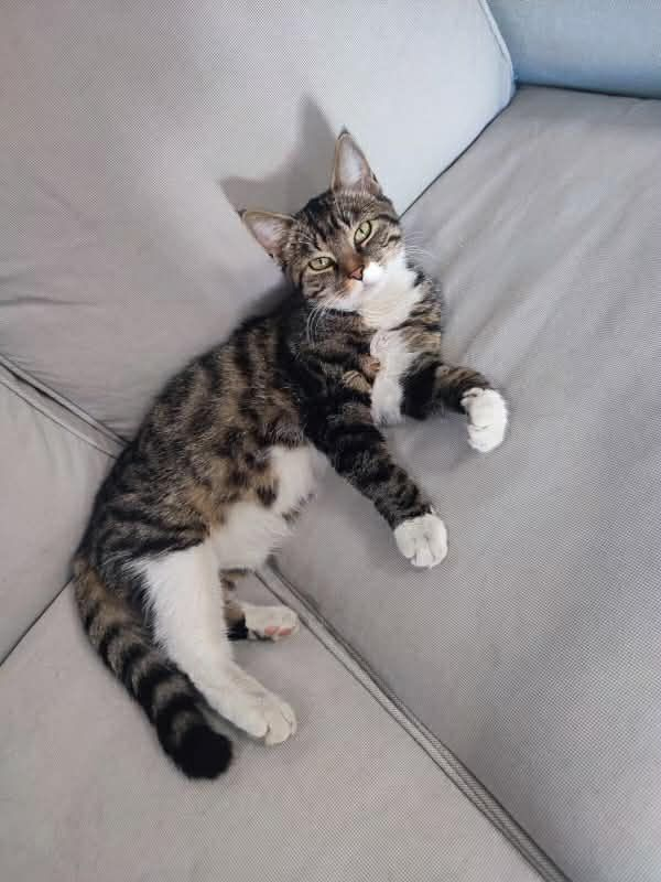 Photo #1 de Milly