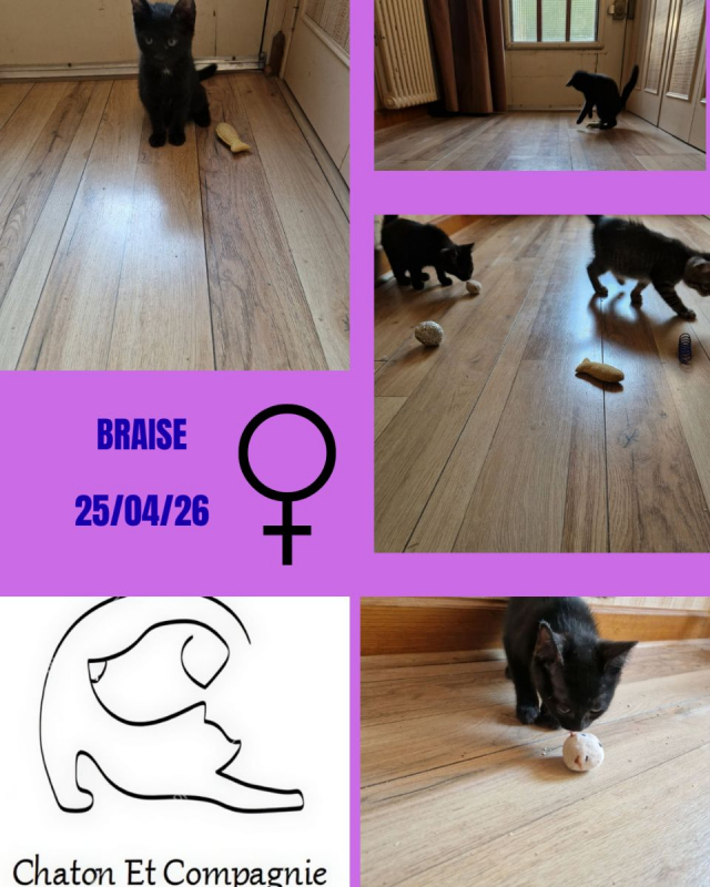 Photo de Braise