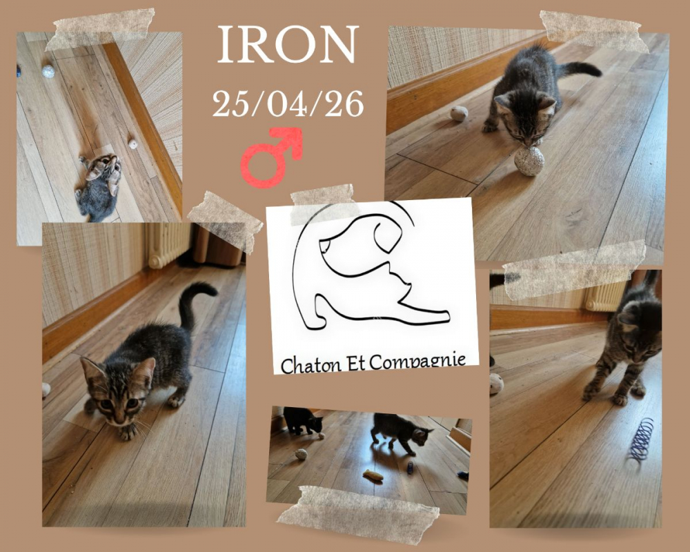 Photo de IRON