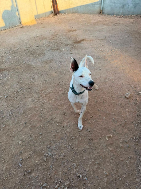 Photo #7 de Tayson